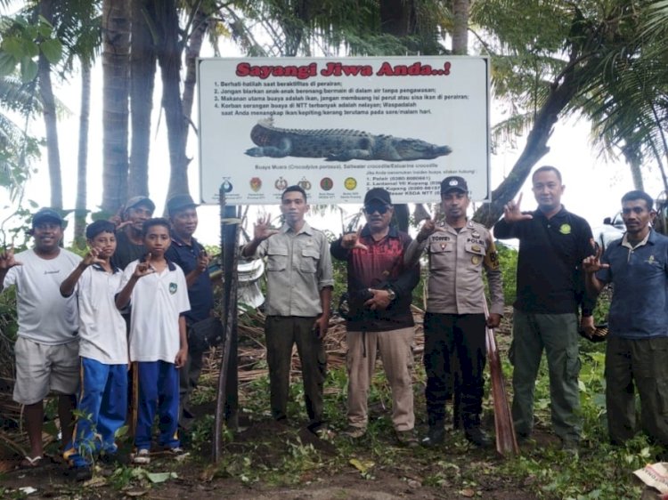 Teror Buaya di Talibura: Polres Sikka dan KSDA Pasang Pembatasan Aktivitas Warga