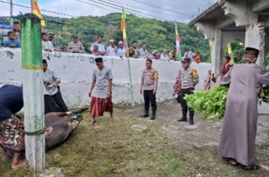 Khidmat dan Kondusif, Ribuan Jamaah Padati Sholat Idul Adha 1447 H di Kabupaten Sikka”