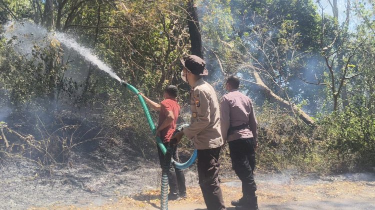 Hutan Lindung Egon Ilinmedo Terbakar, Polres Sikka dan Polsek Waigete Bergerak Cegah Api Meluas