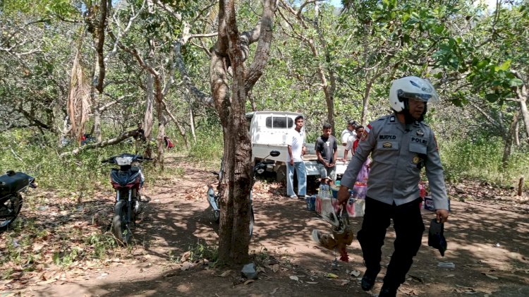 Arena Judi Sabung Ayam Disergap Polsek Paga Polres Sikka, Pelaku Berhamburan, Lima Ayam Diamankan