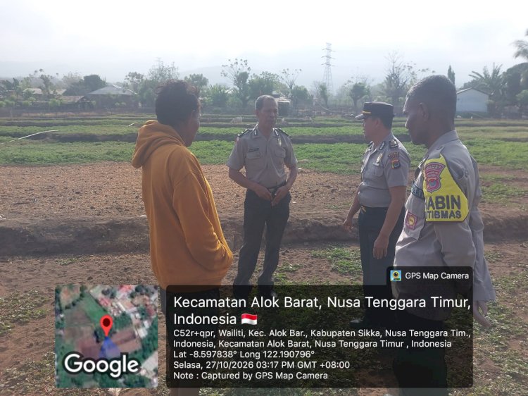 Temui Langsung Kelompok Tani BUMBU RJ, Kabag SDM Polres Sikka Petakan Kendala dan Dorong Ketahanan Pangan